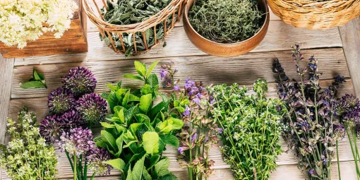 Quelles sont les remèdes naturels pour préparer l'hiver avec Galinier crhystelle ?, Porto-Vecchio, Cabinet Fleur de Vie